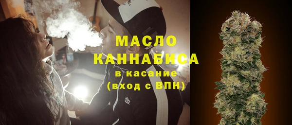 твердый Няндома