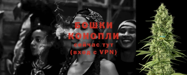 твердый Няндома