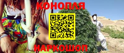 крисы Балаково