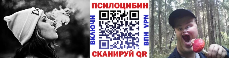 Псилоцибиновые грибы прущие грибы  Уссурийск 
